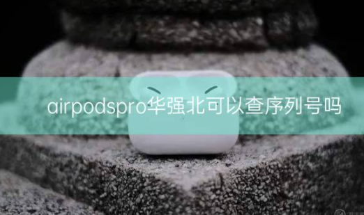 airpodspro华强北可以查序列号吗插图