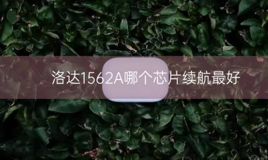 洛达1562A哪个芯片续航最好插图