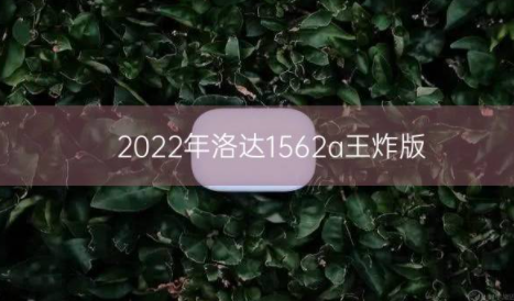 2022年洛达1562a王炸版插图