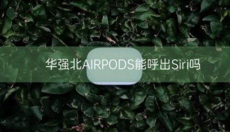 华强北AIRPODS能呼出Siri吗?插图