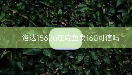 洛达1562a在咸鱼卖160可信吗，1562a目前价位多少呢？插图