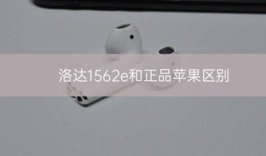 洛达1562e和正品苹果区别？插图