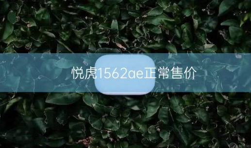 悦虎1562ae正常售价插图