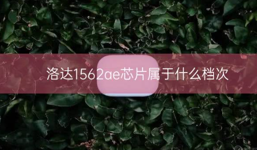 洛达1562ae芯片属于什么档次插图